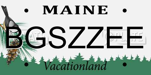 BGSZZEE Maine License Plate