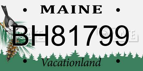 BH81799 Maine License Plate