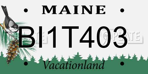 BI1T403 Maine License Plate