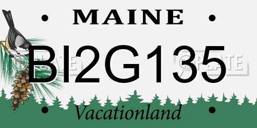 BI2G135 Maine License Plate