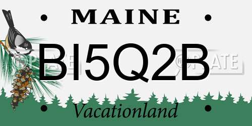 BI5Q2B Maine License Plate