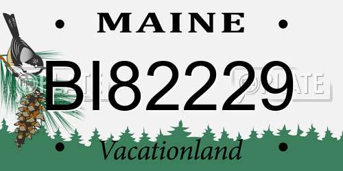 BI82229 Maine License Plate