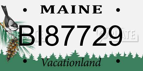 BI87729 Maine License Plate
