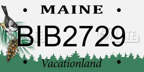 BIB2729 Maine License Plate