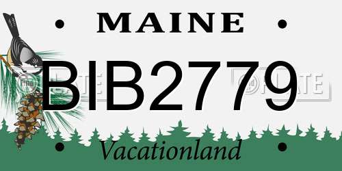 BIB2779 Maine License Plate