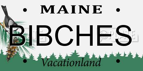 BIBCHES Maine License Plate