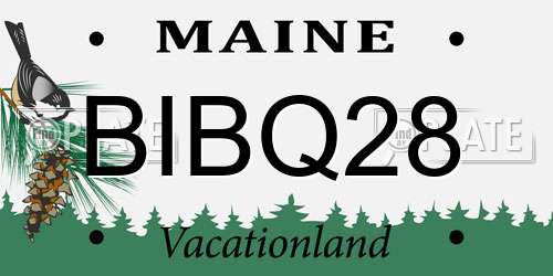 BIBQ28 Maine License Plate
