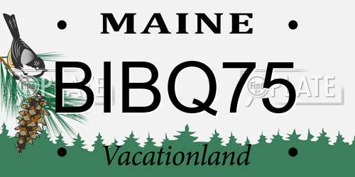 BIBQ75 Maine License Plate