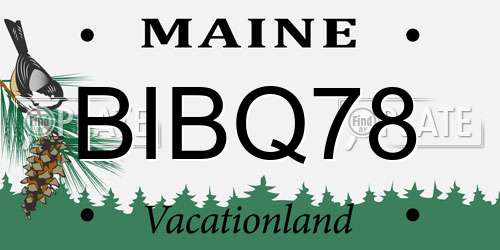 BIBQ78 Maine License Plate