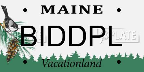 BIDDPL Maine License Plate