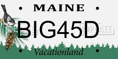 BIG45D Maine License Plate