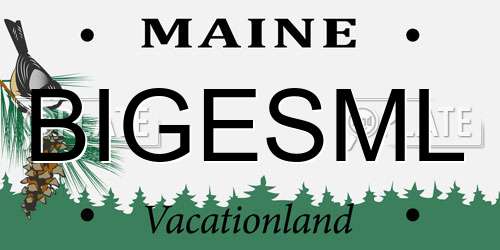 BIGESML Maine License Plate