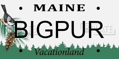 BIGPUR Maine License Plate
