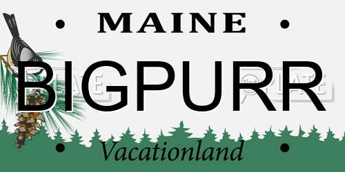 BIGPURR Maine License Plate