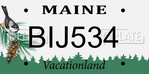 BIJ534 Maine License Plate