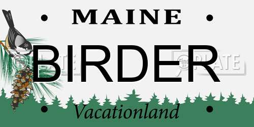 BIRDER Maine License Plate