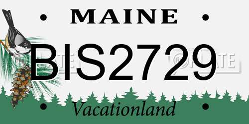 BIS2729 Maine License Plate