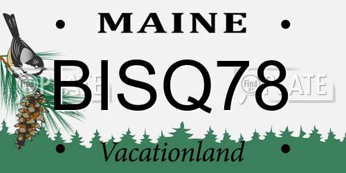 BISQ78 Maine License Plate