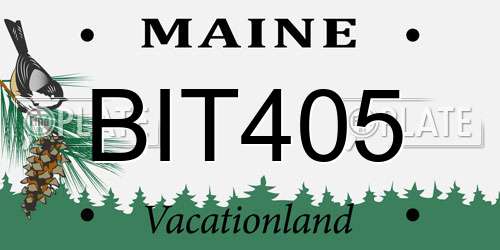 BIT405 Maine License Plate