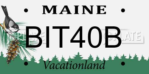 BIT40B Maine License Plate