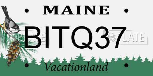 BITQ37 Maine License Plate