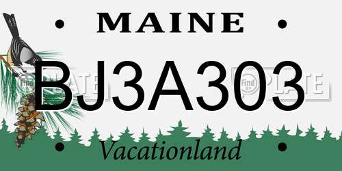 BJ3A303 Maine License Plate
