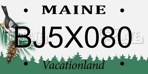 BJ5X080 Maine License Plate