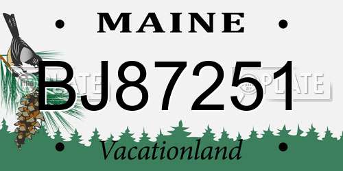 BJ87251 Maine License Plate