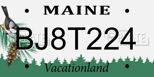 BJ8T224 Maine License Plate