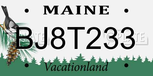 BJ8T233 Maine License Plate