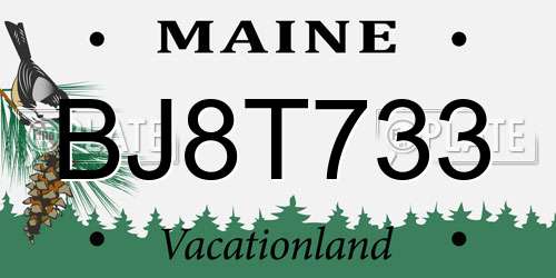 BJ8T733 Maine License Plate