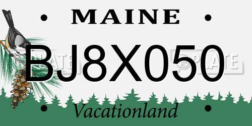 BJ8X050 Maine License Plate