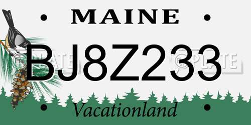 BJ8Z233 Maine License Plate