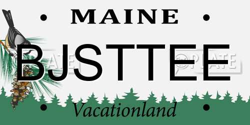 BJSTTEE Maine License Plate