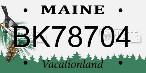 BK78704 Maine License Plate