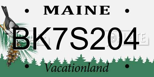 BK7S204 Maine License Plate