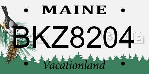 BKZ8204 Maine License Plate