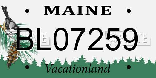 BL07259 Maine License Plate