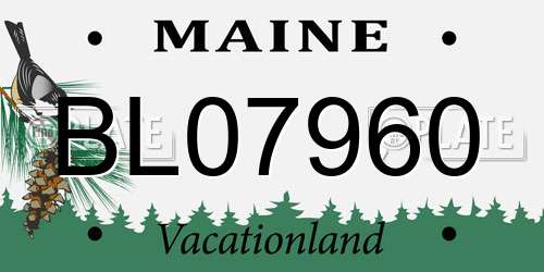 BL07960 Maine License Plate
