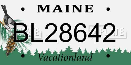 BL28642 Maine License Plate