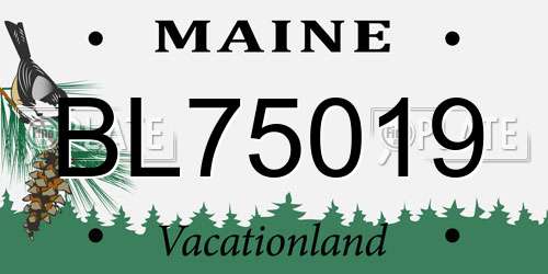 BL75019 Maine License Plate