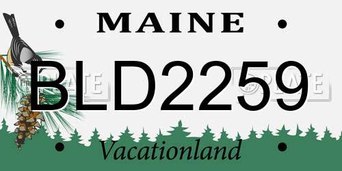 BLD2259 Maine License Plate