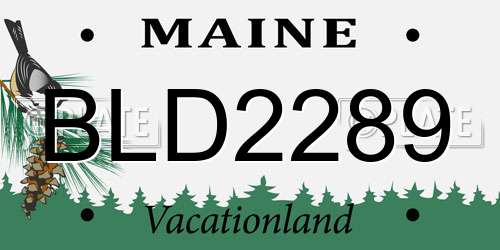 BLD2289 Maine License Plate