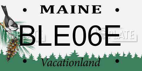 BLE06E Maine License Plate
