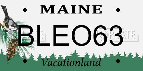 BLEO63 Maine License Plate