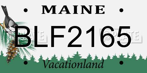 BLF2165 Maine License Plate