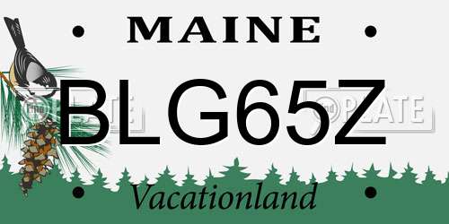 BLG65Z Maine License Plate