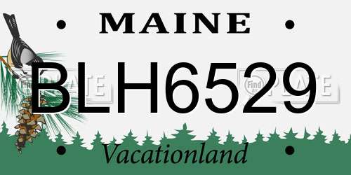 BLH6529 Maine License Plate
