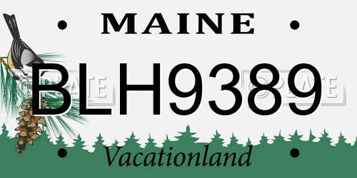 BLH9389 Maine License Plate