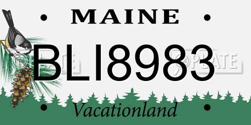BLI8983 Maine License Plate